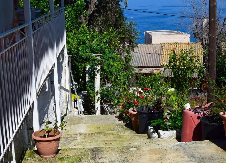 Kiki'S Beautiful House On Famous Village Pentátion Buitenkant foto